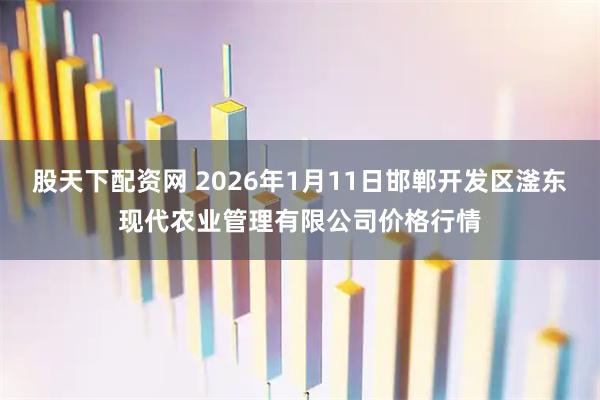 股天下配资网 2026年1月11日邯郸开发区滏东现代农业管理有限公司价格行情
